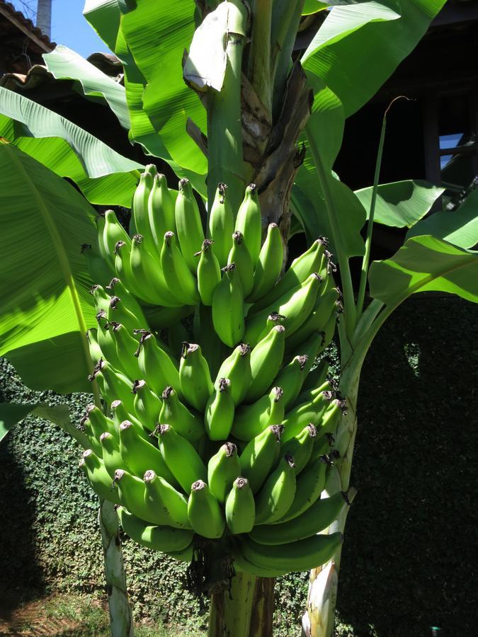 Pousada Afrika Búzios Exterior foto